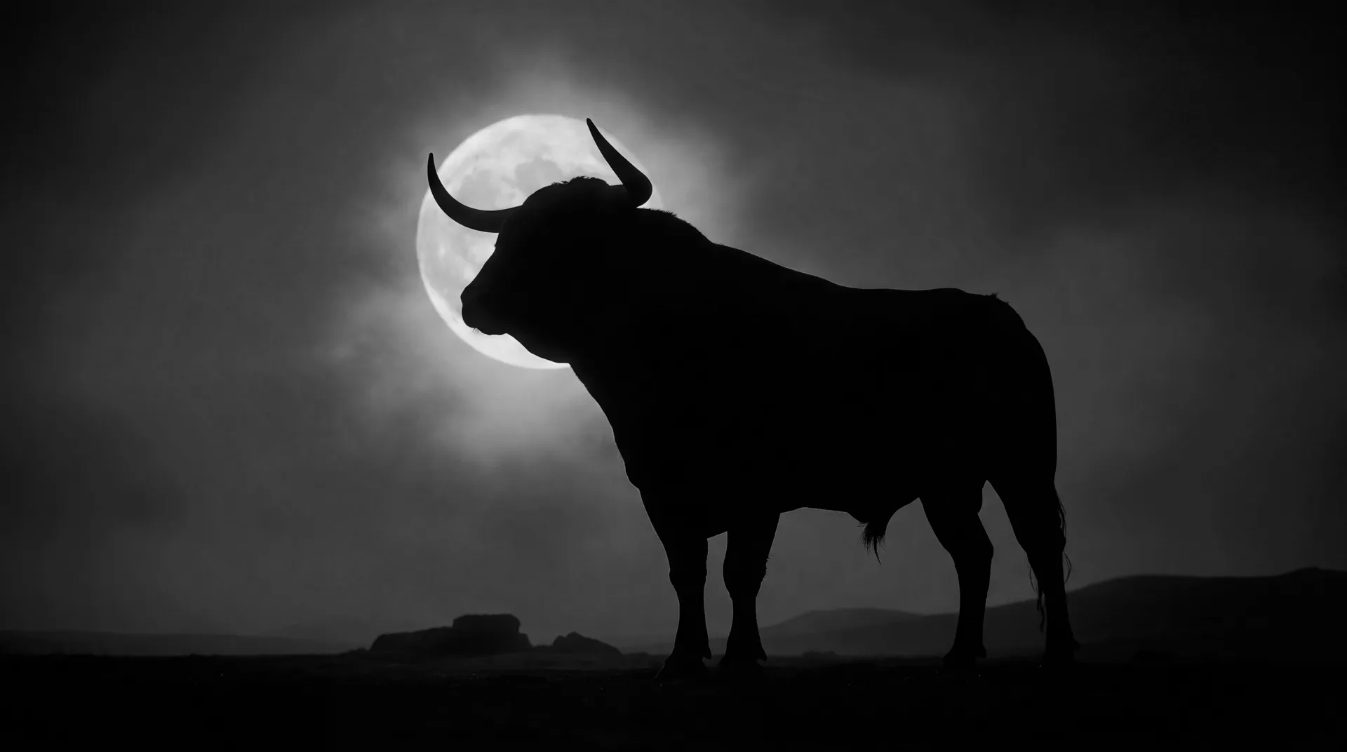 Contacto CodeBulls
